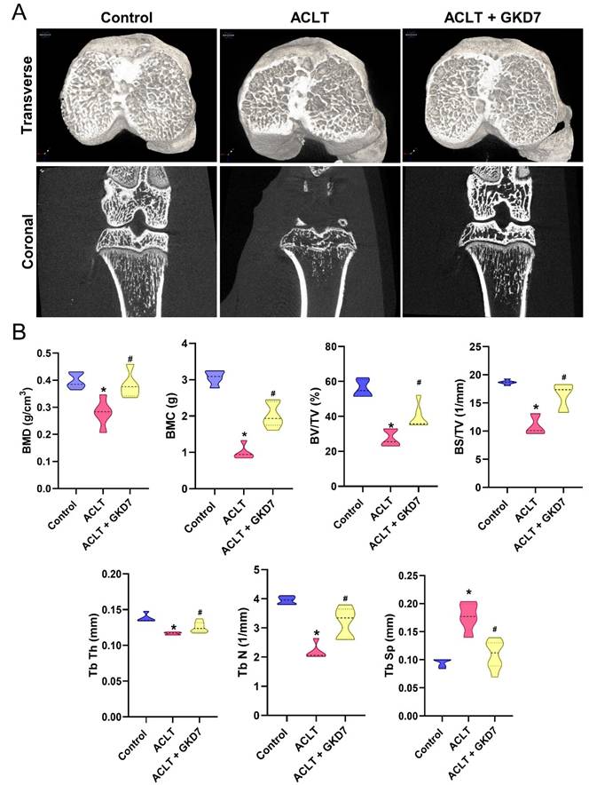 Int J Med Sci Image