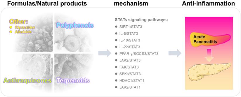 Int J Med Sci Image