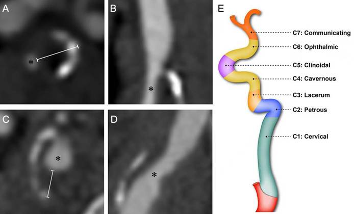 Int J Med Sci Image