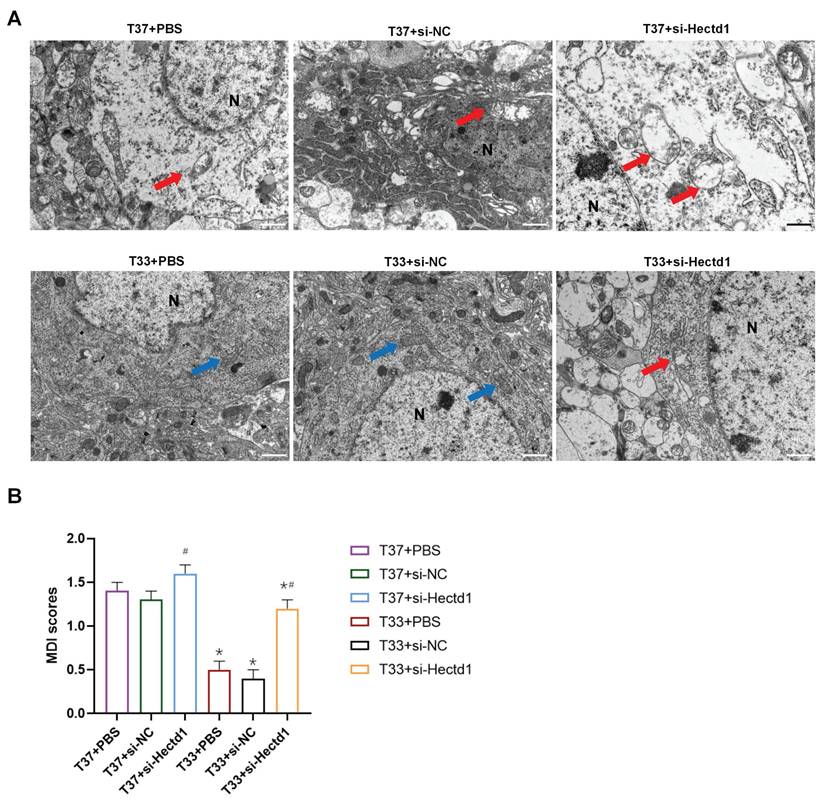 Int J Med Sci Image
