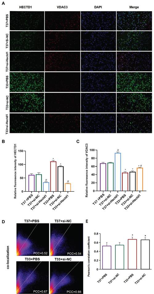 Int J Med Sci Image