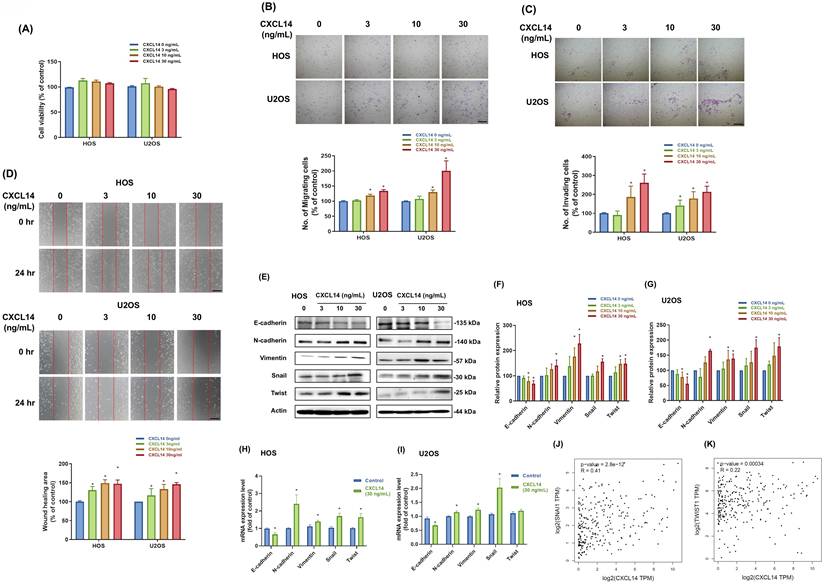 Int J Med Sci Image