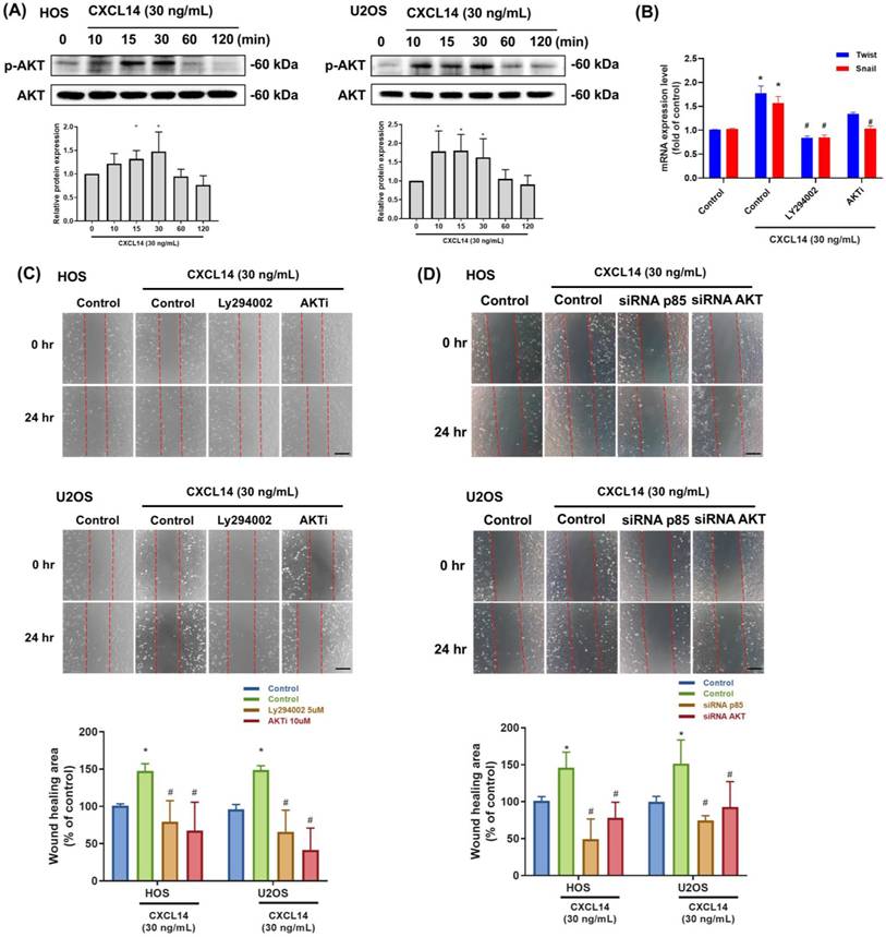 Int J Med Sci Image