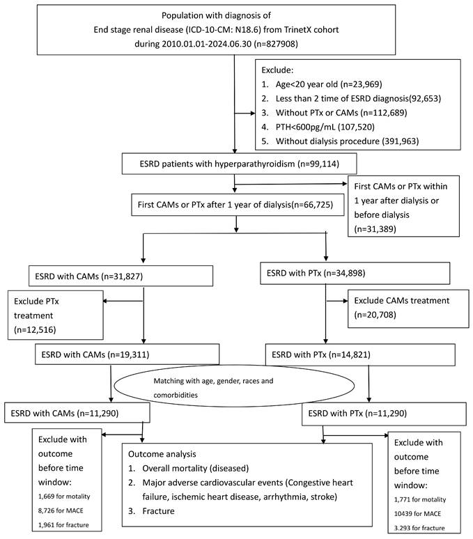 Int J Med Sci Image