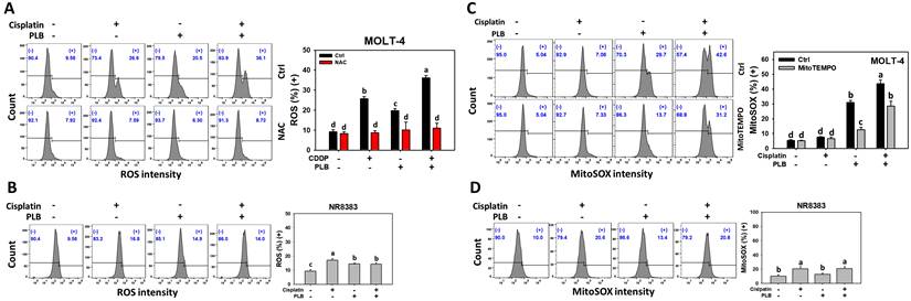Int J Med Sci Image