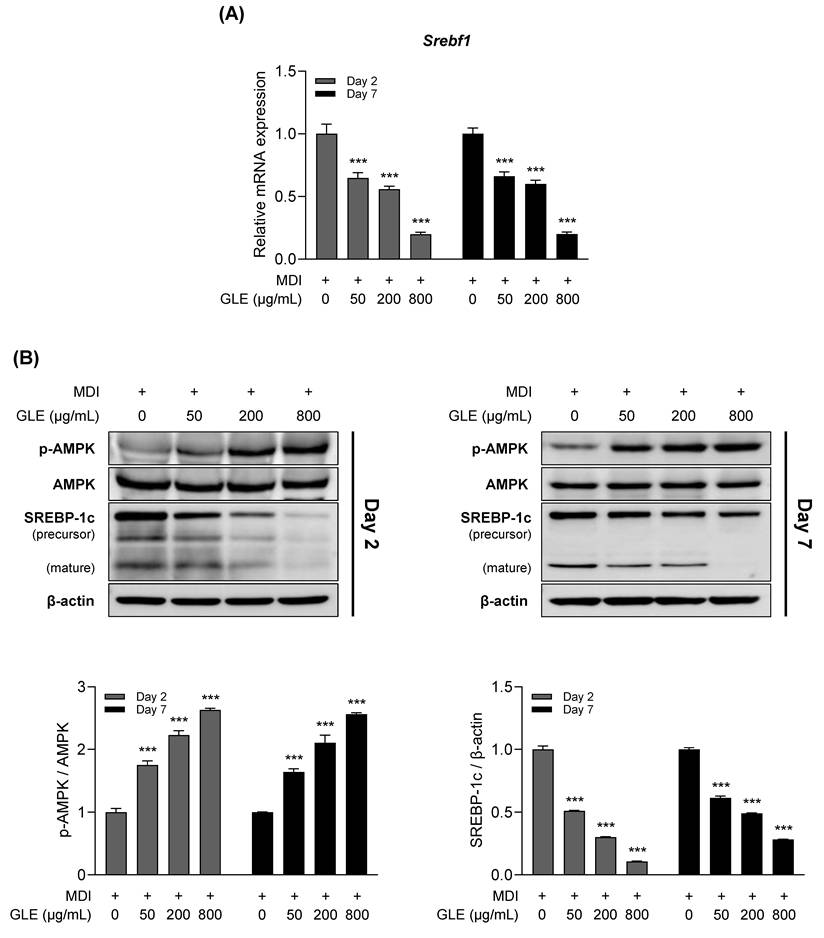 Int J Med Sci Image
