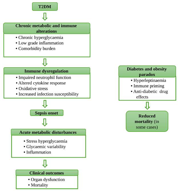 Int J Med Sci Image
