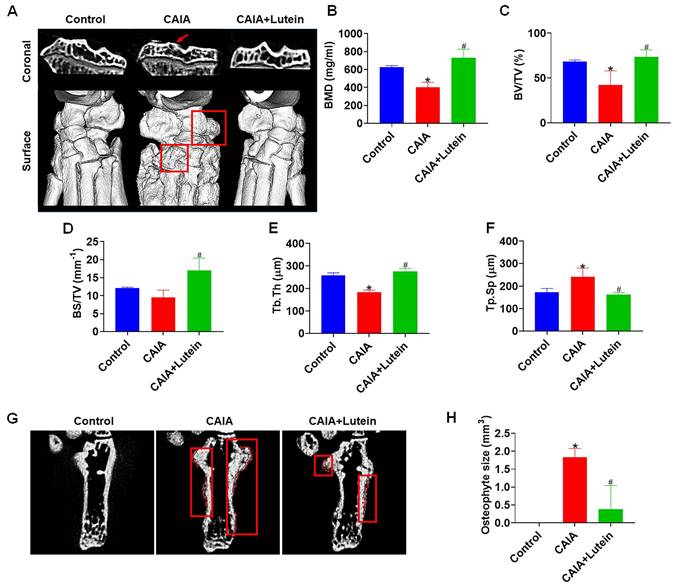 Int J Med Sci Image