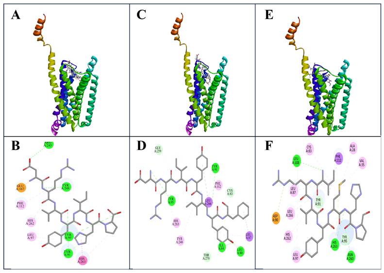 Int J Med Sci Image