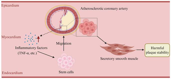 Int J Med Sci Image