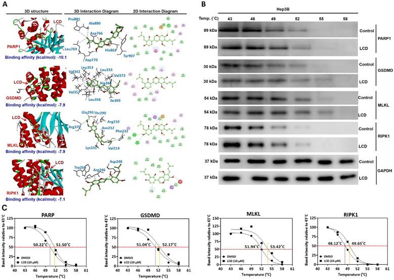 Int J Med Sci Image