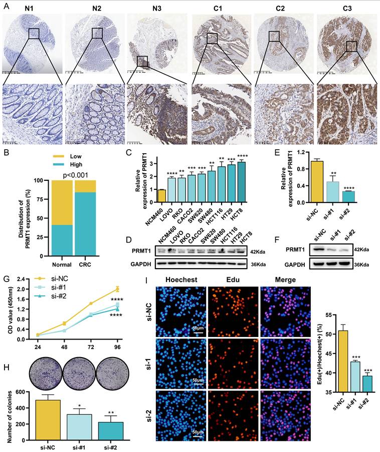 Int J Med Sci Image