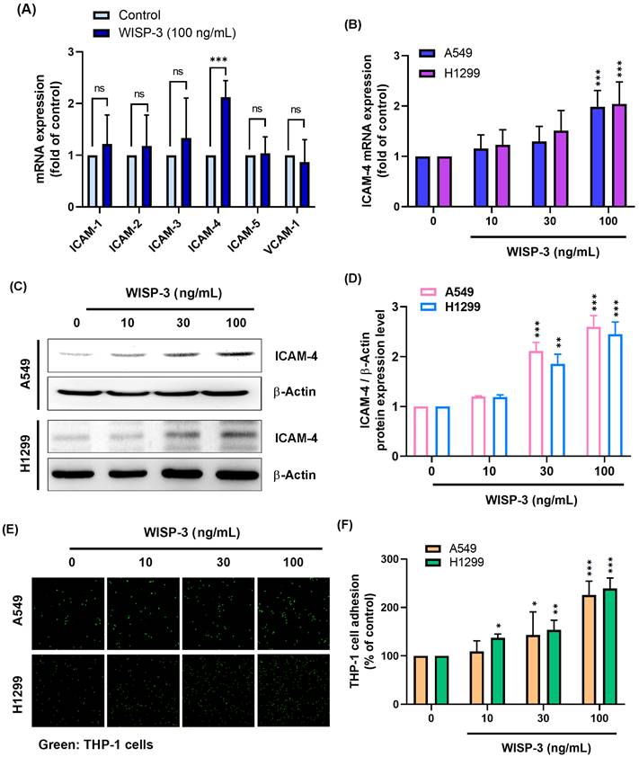 Int J Med Sci Image