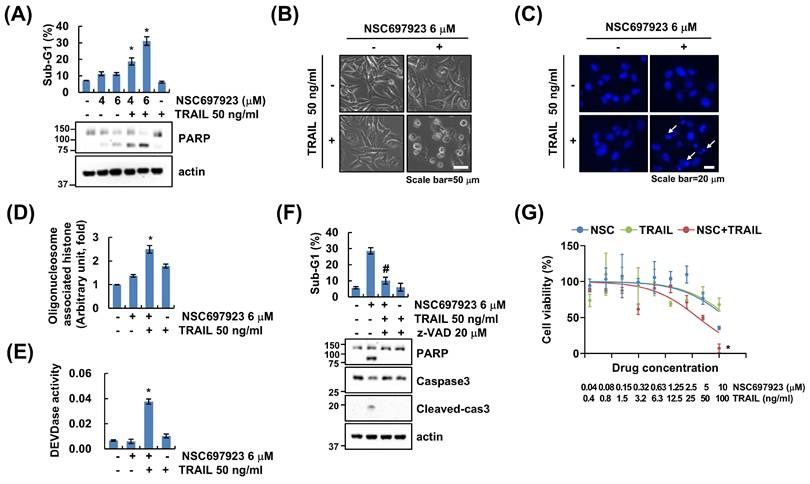 Int J Med Sci Image