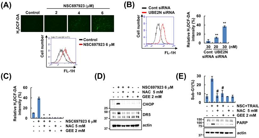 Int J Med Sci Image