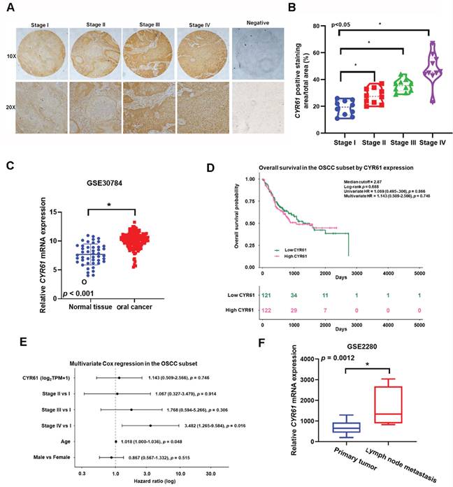 Int J Med Sci Image