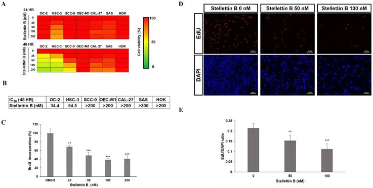 Int J Med Sci Image