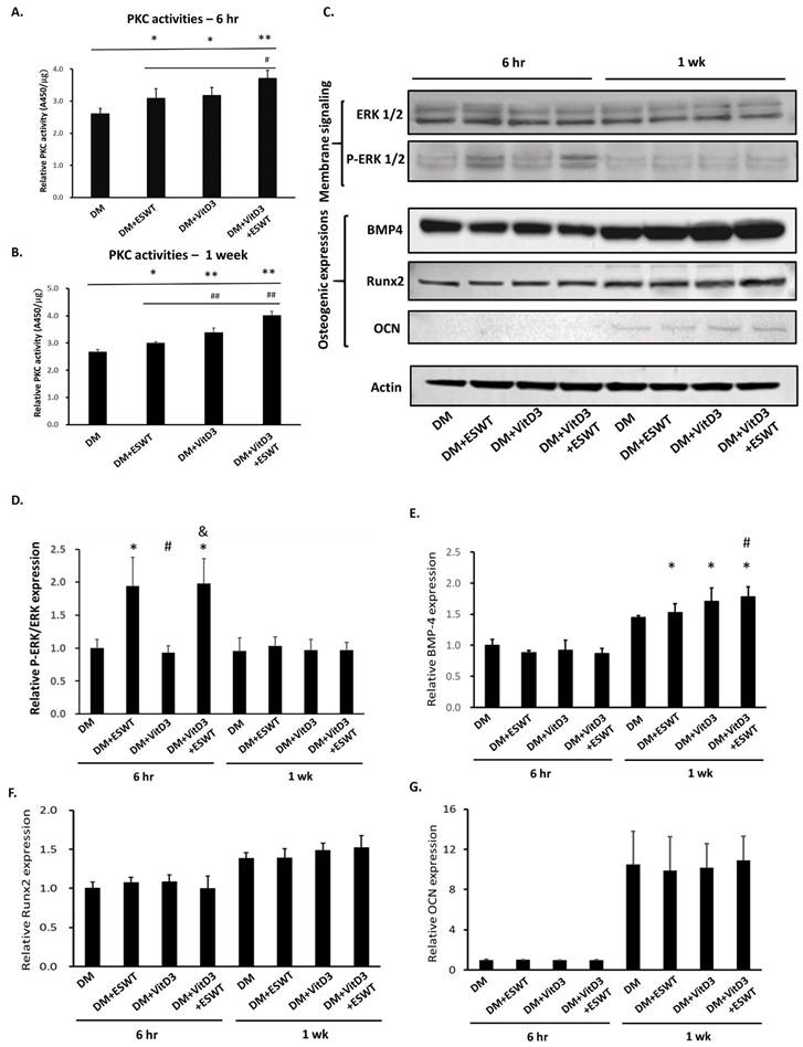 Int J Med Sci Image