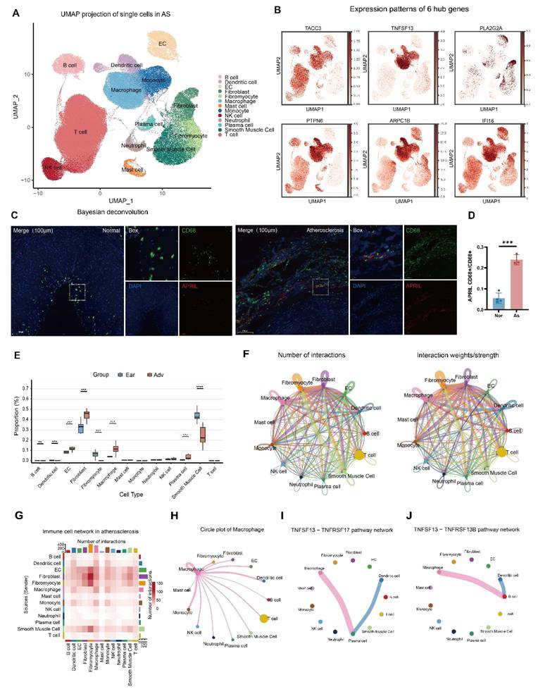 Int J Med Sci Image
