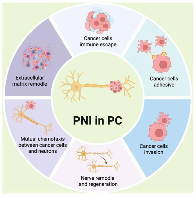 Int J Med Sci Image