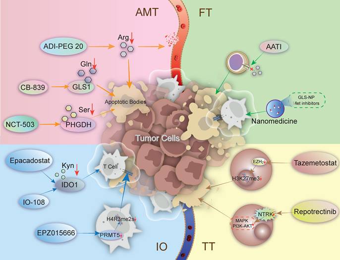 Int J Med Sci Image