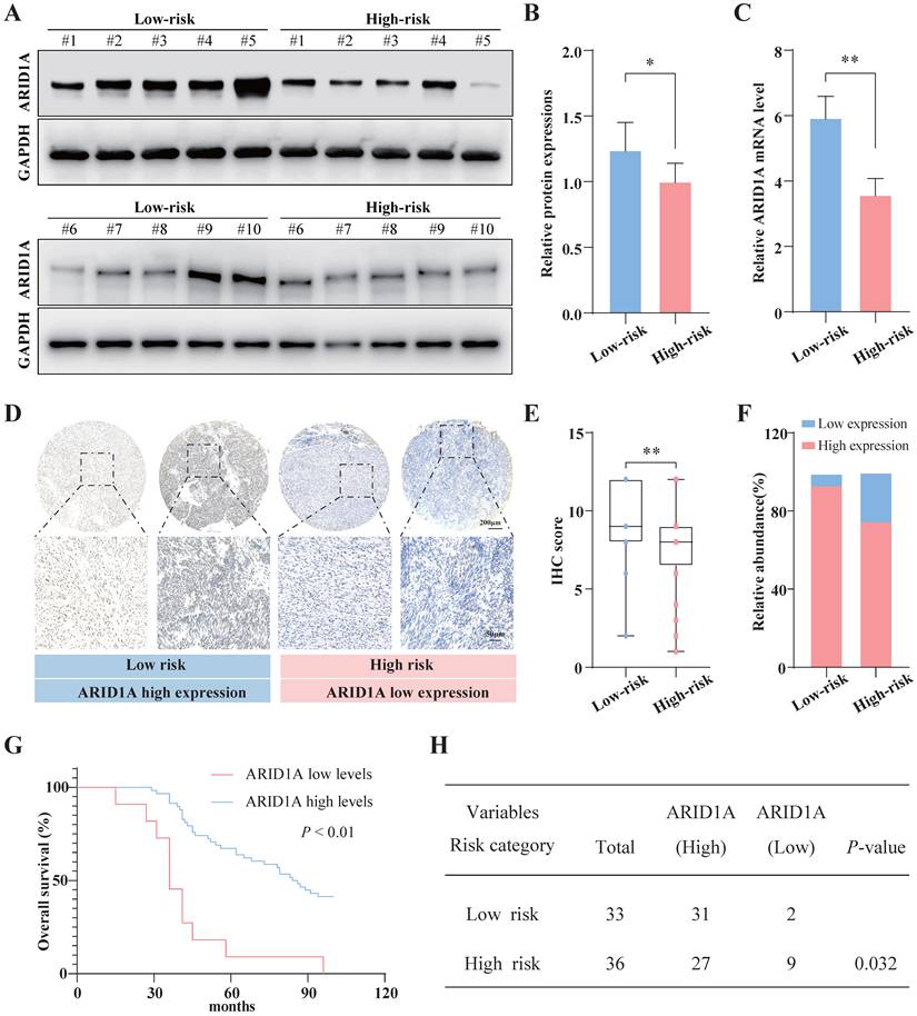 Int J Med Sci Image