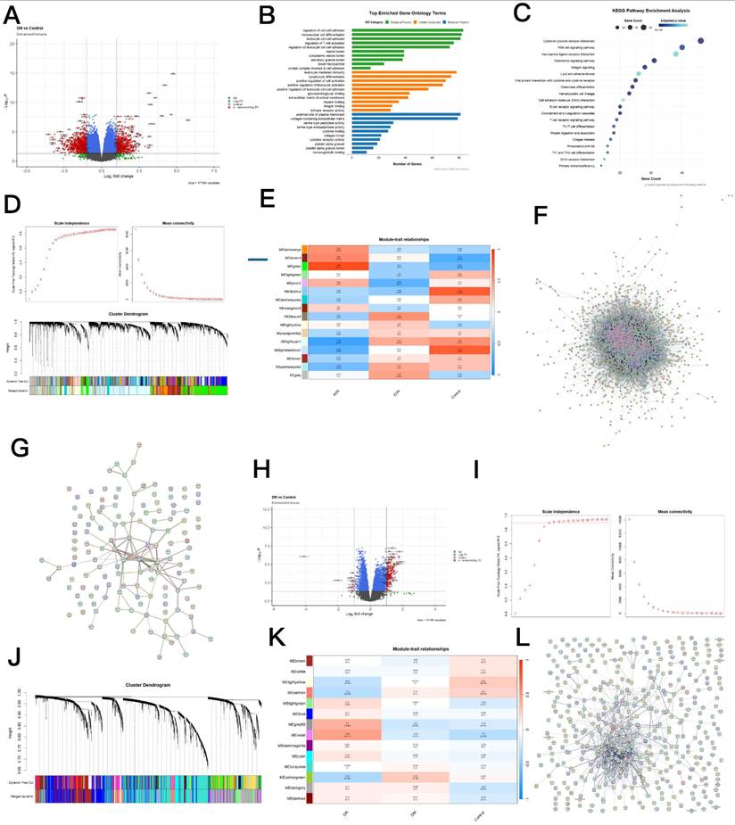 Int J Med Sci Image
