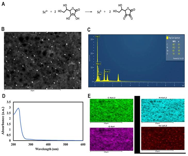 Int J Med Sci Image