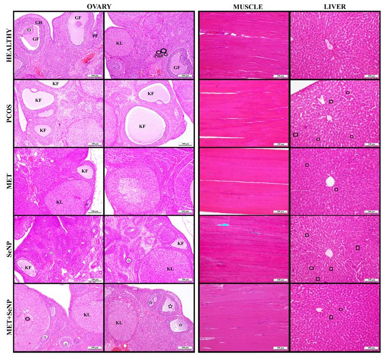 Int J Med Sci Image