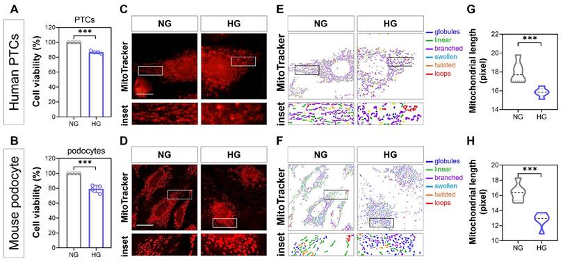 Int J Med Sci Image