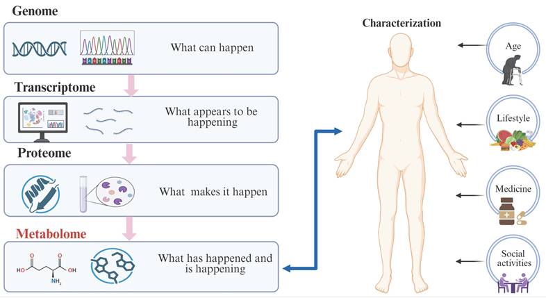 Int J Med Sci Image