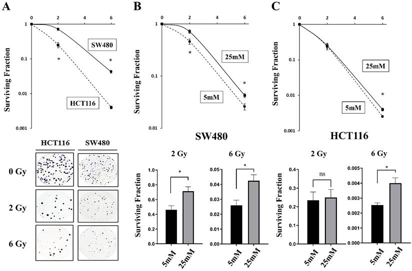 Int J Med Sci Image