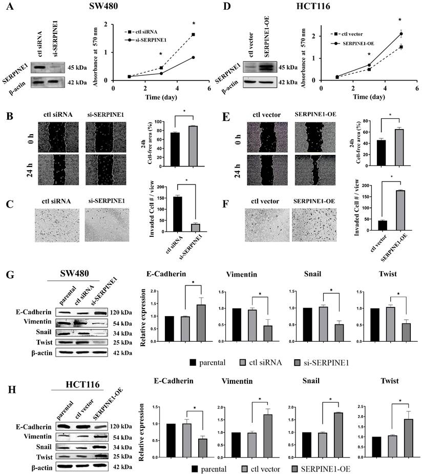 Int J Med Sci Image