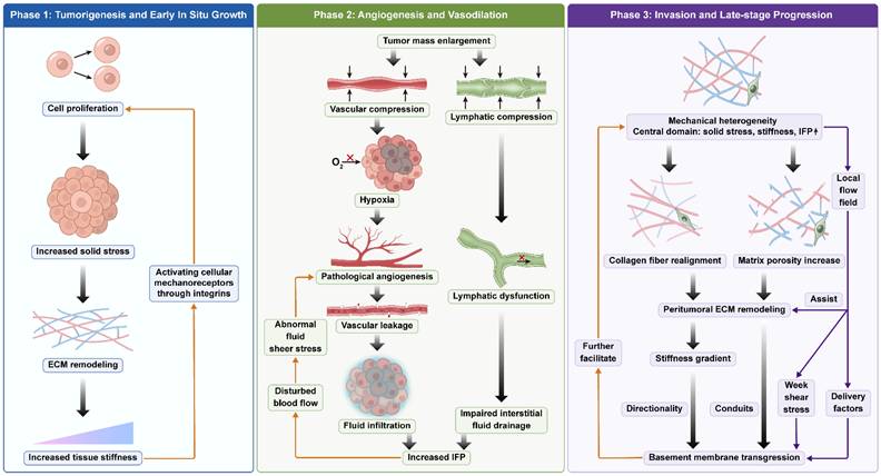 Int J Med Sci Image