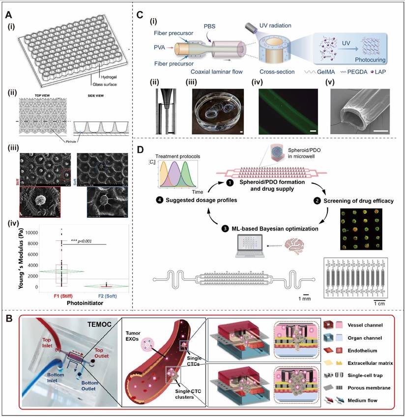 Int J Med Sci Image