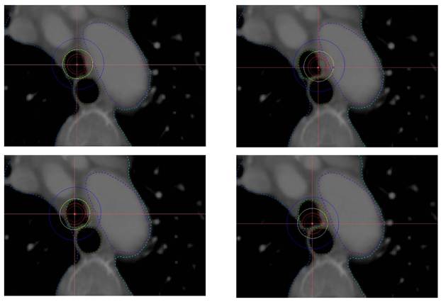 Int J Med Sci Image