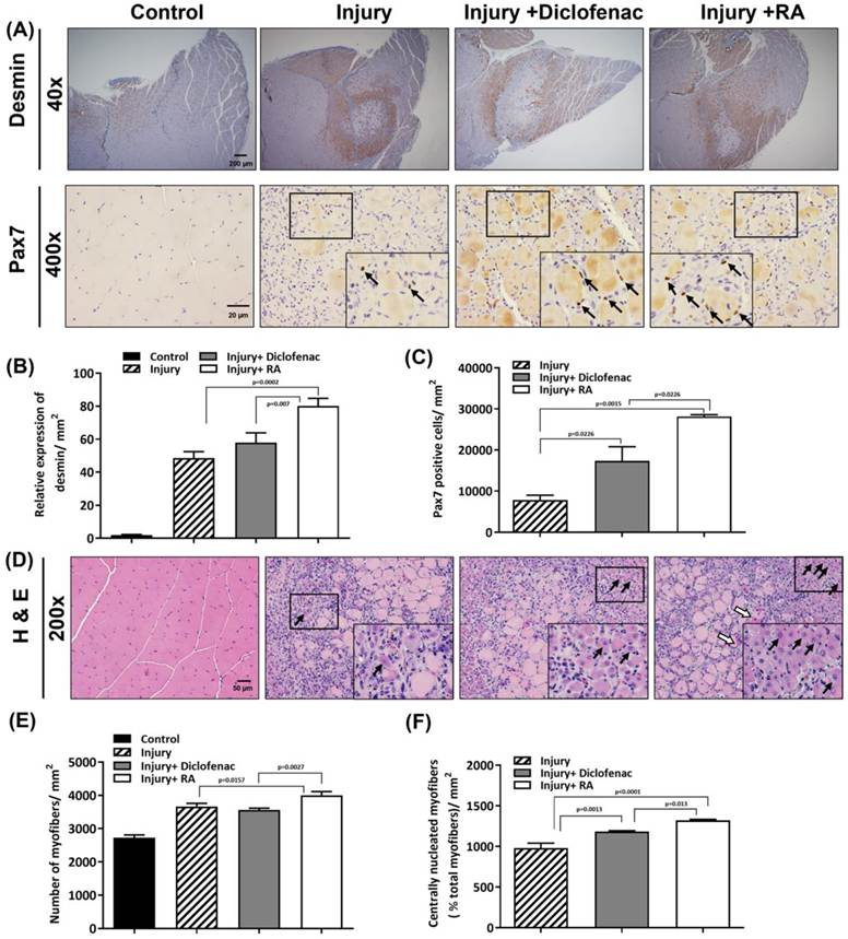 Int J Med Sci Image