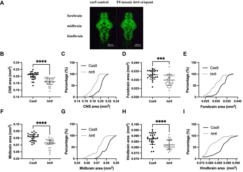 Int J Med Sci Image