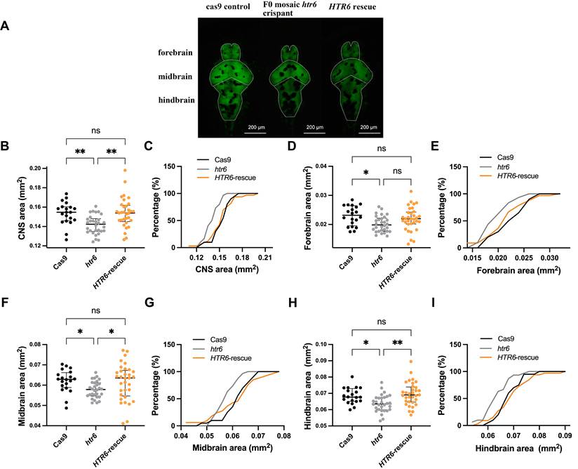 Int J Med Sci Image