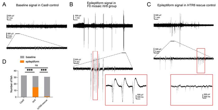 Int J Med Sci Image