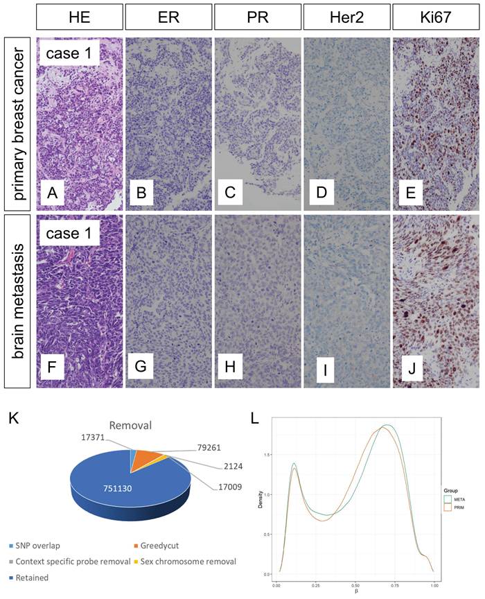Int J Med Sci Image